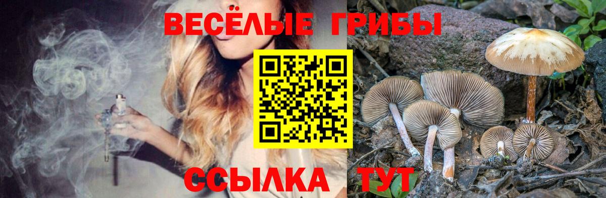 Галлюциногенные грибы мухоморы  где можно купить наркотик  Протвино  Псилоцибиновые грибы Psilocybine cubensis  Вход с VPN 